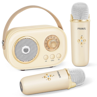 SingBuddy | Zusammen singen - Karaoke-Set