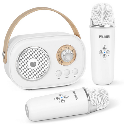 SingBuddy | Zusammen singen - Karaoke-Set