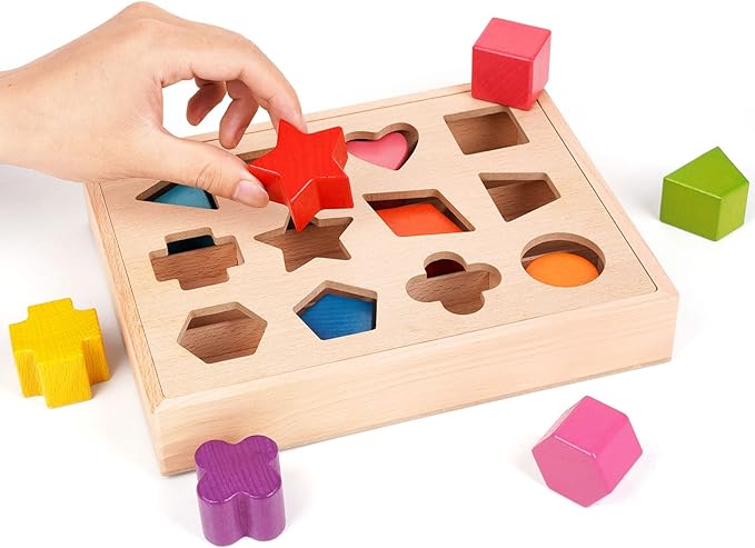 BlockPlay | Blöcke in die richtigen Fächer sortieren - Pädagogisches Sortierbrett aus Holz