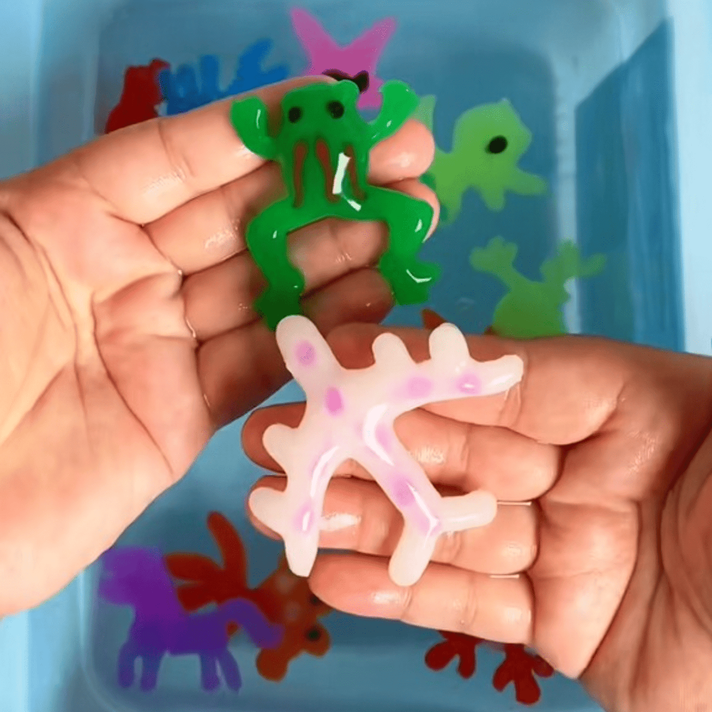 WaterWonders Kit | Basteln und spielen mit Wasser - Pädagogisches Bastelset